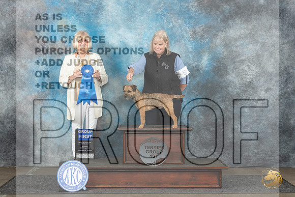 Border Terrier #5 Mon G1 Judge Debra Thornton__JP_4540_Lubbock_2024_HR3