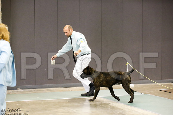 _J3L3289-BeltSep2014-HR
