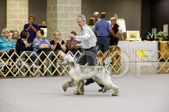 _JJ_8853-AfgBeltonOct2014-HR3