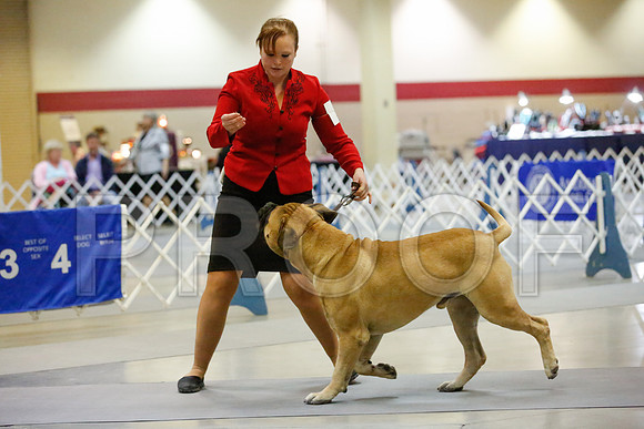 _JJ_8110-AmarilloSept2014-HR3