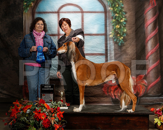 _ST_7073-2-NrmnNov2014-HR3