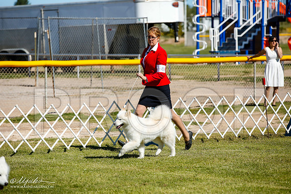 _JJ_9936-AlamogordoOct2014-HR3