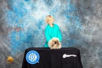 Pekingese Sat Custom