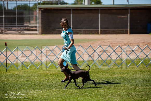_JJ_8472-AlamogordoOct2014-HR3