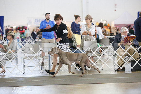 _JJ_0023-DallasJul2014-HR3