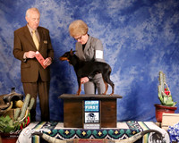Manchester Terrier Standard #5 AOH G1 Wood Barbara & Bob & JoAnn Emrich Judge R Hartinger