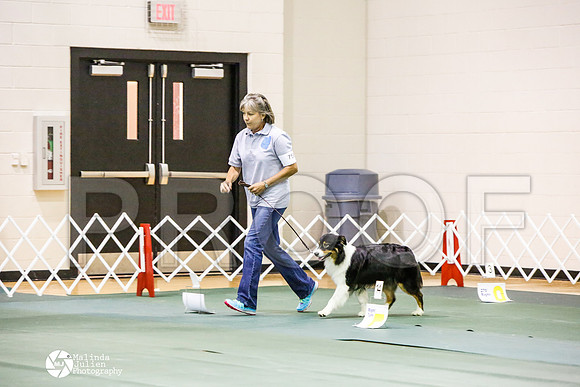 _JJ_3061-BsrCtyJun2014-HR3
