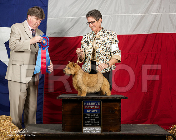 _ST_1448-AmarilloSep2014-HR3