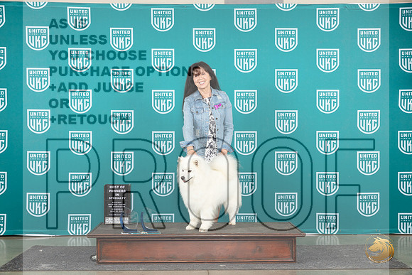 American Eskimo #113 Wed BOW Judge Diana Brumbaugh__JP_0588_Premier_2024_HR3
