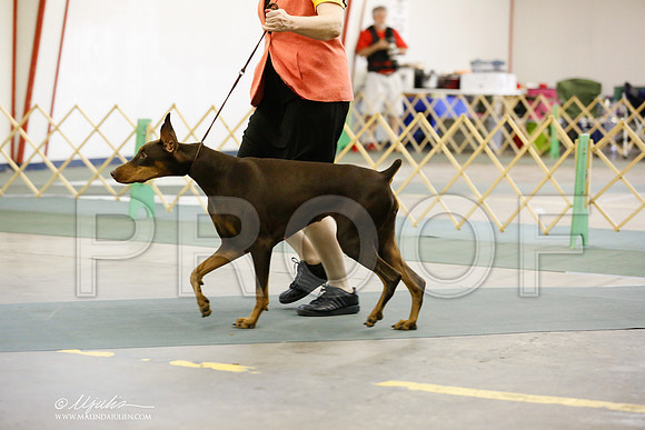 _RH_5626-DntnJun2014-HR3