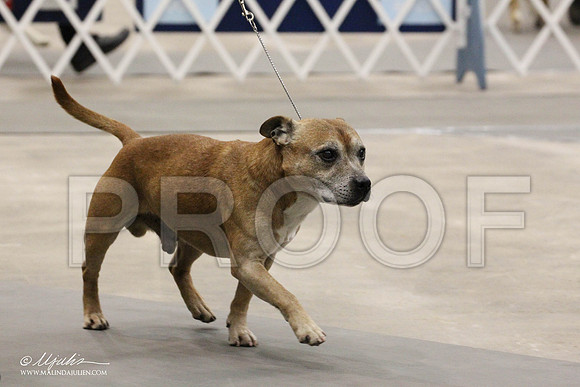 IMG_8030-Abilene2011-HR3