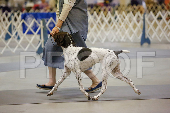 _JN_9203-AmarilloSept2014-HR3
