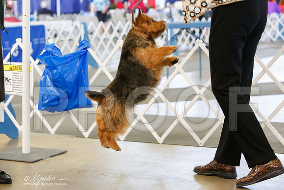 _JJ_8064-DallasJul2014-HR3