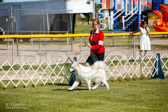 _JJ_9935-AlamogordoOct2014-HR3