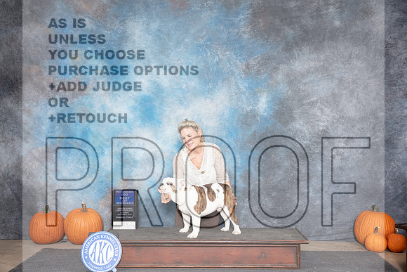 Bulldog #7 Sat WDBOW Judge Danelle Brown__JP_8585_Humble_2024_HR3