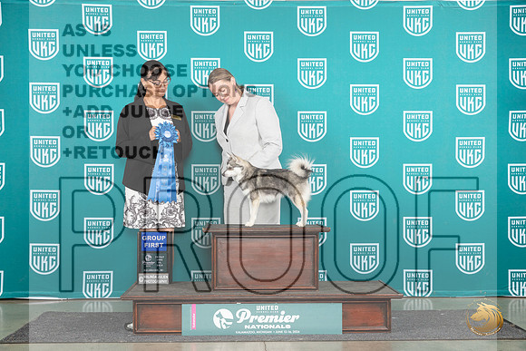 Alaskan Klee Kai #978 Fri G1 Judge Stephanie Mueller__JP_1924_Premier_2024_HR3