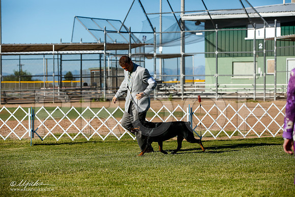 _JJ_8920-AlamogordoOct2014-HR3