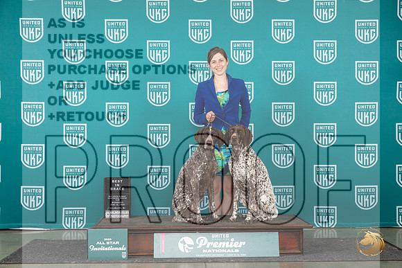 German Shorthaired Pointer #771 Wed Brace Judge Jeanne Heger__JP_2354_Premier_2024_HR3
