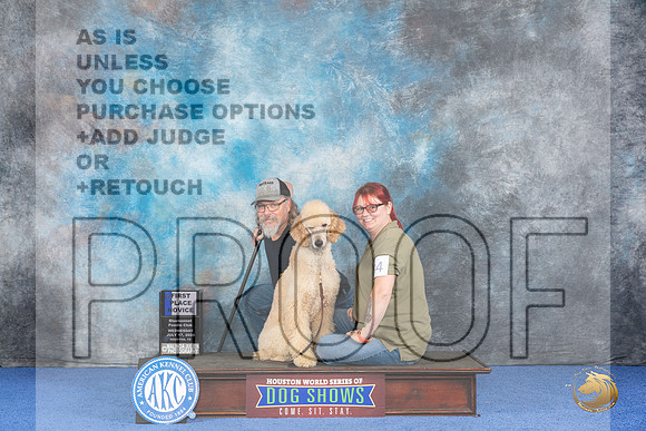 Poodle Standard #84 WED 1st RN Judge Richard Mullen__JP_6911_Houston_2024_HR3