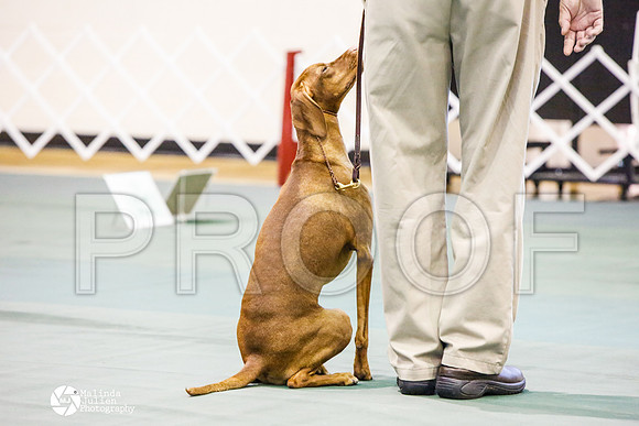 _JJ_3793-BsrCtyJun2014-HR3