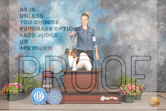 Papillon #28 Fri G2 Judge John Booth_MJ_0004_SA_2022_HR3