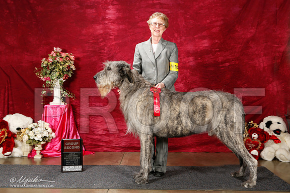 _ST_2583-2-BeltonIABCAJan2015e-BeltonJan2015IABCA-HR3