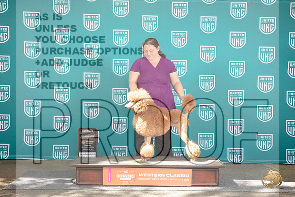 Poodle Standard MC #179 RCh Sun Judge Malinda Julien__JP_1994_Longview WA_2024_HR3