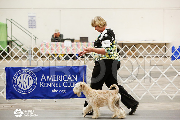 _CK_8551-AblnMay2014-web