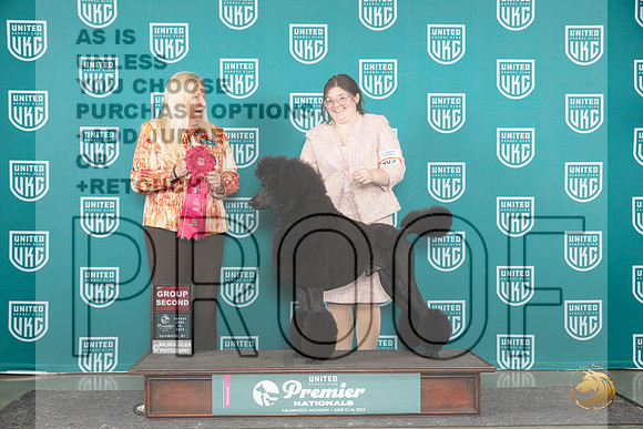 Poodle Std #405 Sun G2 Judge Kathie Short__JP_3434_Premier_2024_HR3