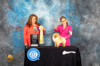 Pomeranian #45 Fri2 BISweeps Judge Stephanie Kaul