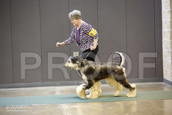 _JN_3983-BeltonJan2015-HR3
