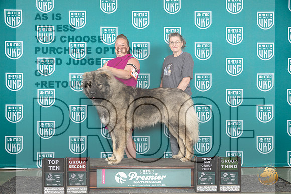 Caucasion Ovcharka #1150 Sun G3 Judge Tracie Karsjens__JP_3221_Premier_2024_HR3