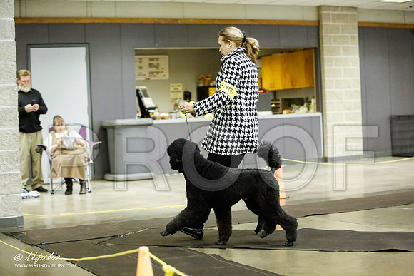 _JJ_5661-BeltonJan2015IABCA-HR3