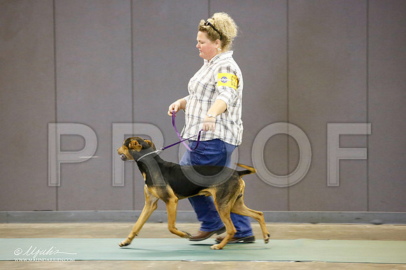 _JN_2626-BeltonJan2015-HR3