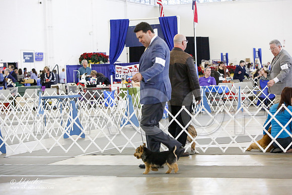 _JJ_3269-DallasDec14-HR3