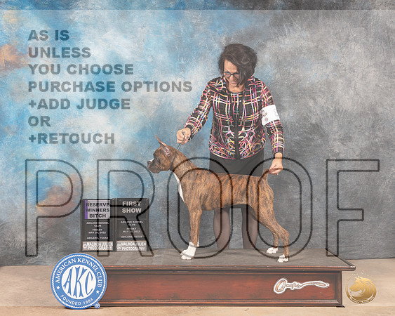 Boxer #8 Fri RWB Judge Joan Liebes-MMJ_3014-Addison2022-HR3