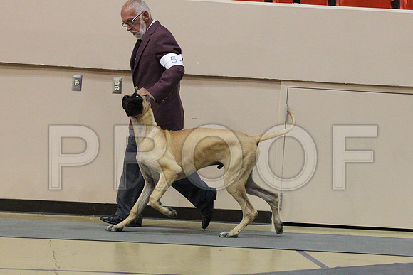 MJS_3266