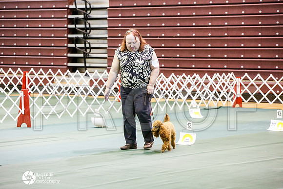 _JJ_2873-BsrCtyJun2014-HR3