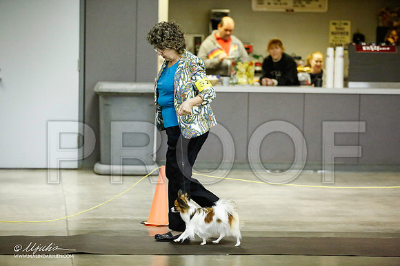 _JJ_5505-BeltonJan2015IABCA-HR3