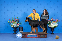 Beaceron #9 FRI OHG1 Judge Jamie Hubbard