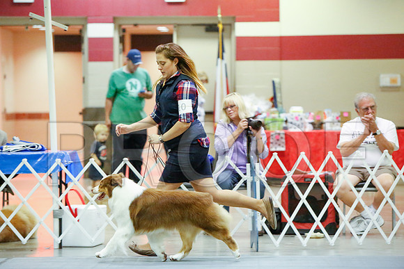 _JN_5433-AmarilloSept2014-HR3