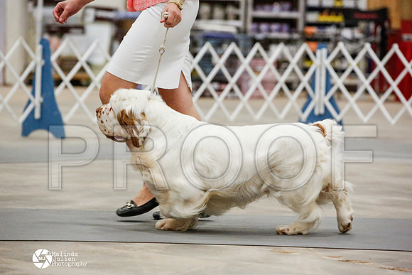 _JN_0472-AblnMay2014-web
