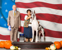 Great Danes #11 Sun BOW Brandt Sandra M Judge Mr Ralph J Ambrosio