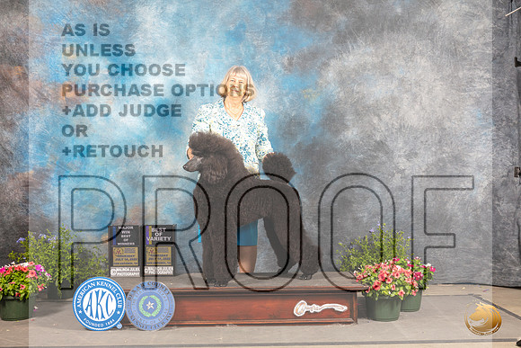 Poodle Std #30 fri BOWBOV Judge Jan Paulk_MJ_0064_SA_2022_HR3