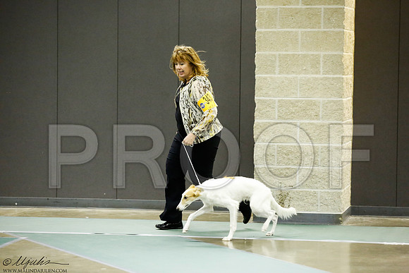 _J3L8104-BeltSep2014-HR