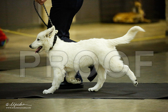 _JJ_6174-BeltonJan2015IABCA-HR3