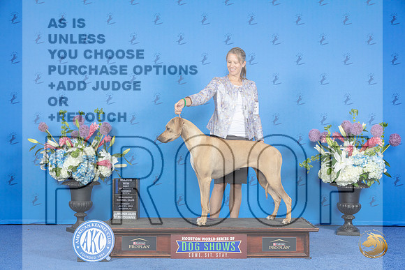 Rhodesian Ridgeback #8 SUN WB BOW M Judge Jamie Hubbard__JP_0143_Houston_2024_HR3