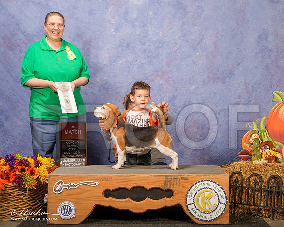 _CL_4567 - Version 2-SanAngelo2014-HR3
