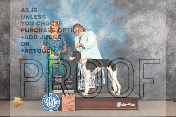 Saluki #20 WED AOM WB Judge Sharon Kinney_MJ_2183_Houston_2022_HR3