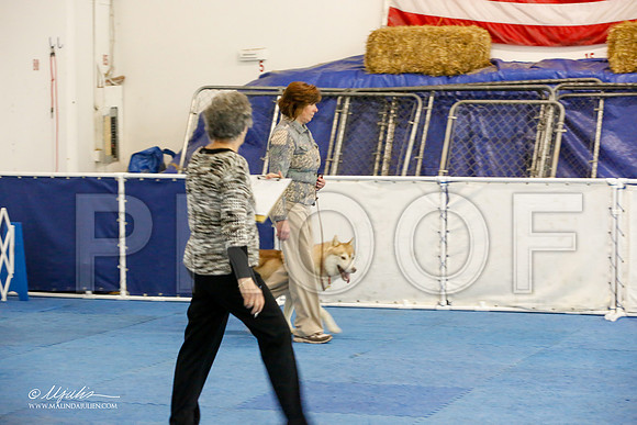_M3_7965-AddisonHuskyMar2015-HR3